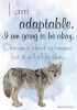 I am adaptable. I am going to be okay. Change is about to happen, but it will all be okay.