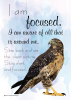 I Am Focused. I am aware of all that is around me.
