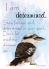 I Am Determined